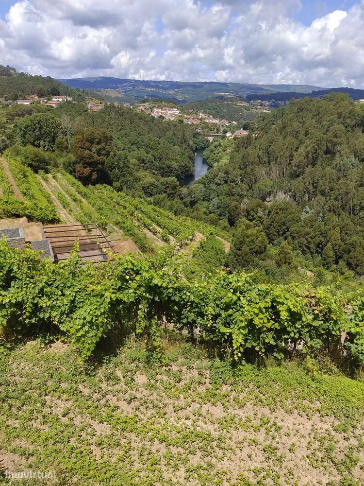 Quinta T7 Venda em Fornos,Castelo de Paiva-14