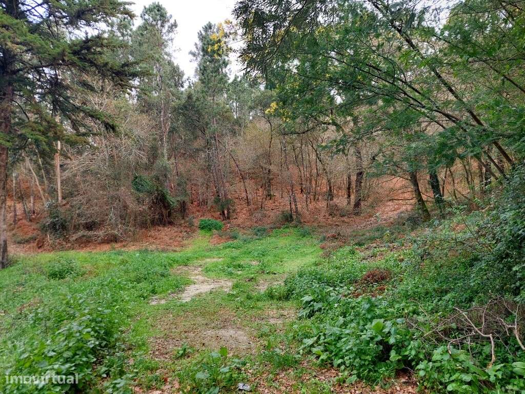 Terreno - Geraz do Minho - Grande imagem: 3/7
