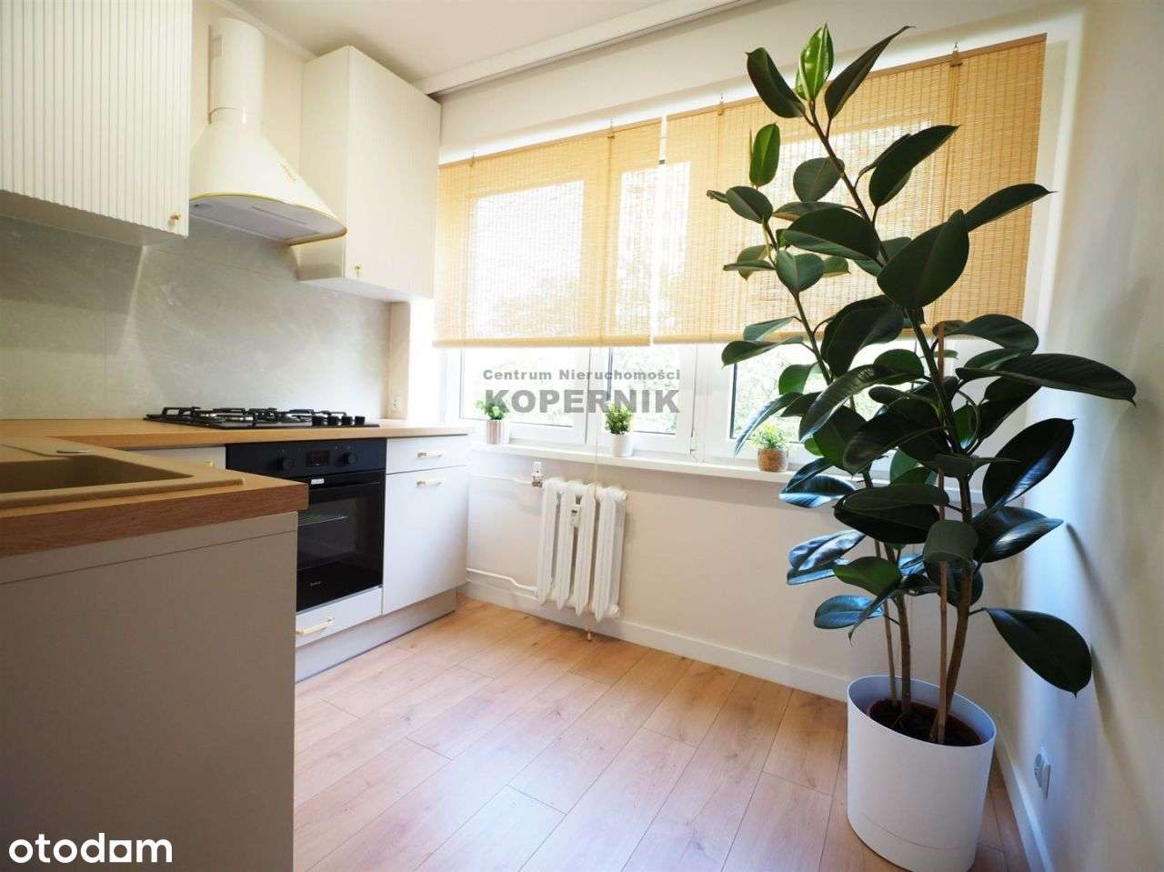 Promocja Urzekające 4 pokoje - Pierwsze Piętro !!!-6