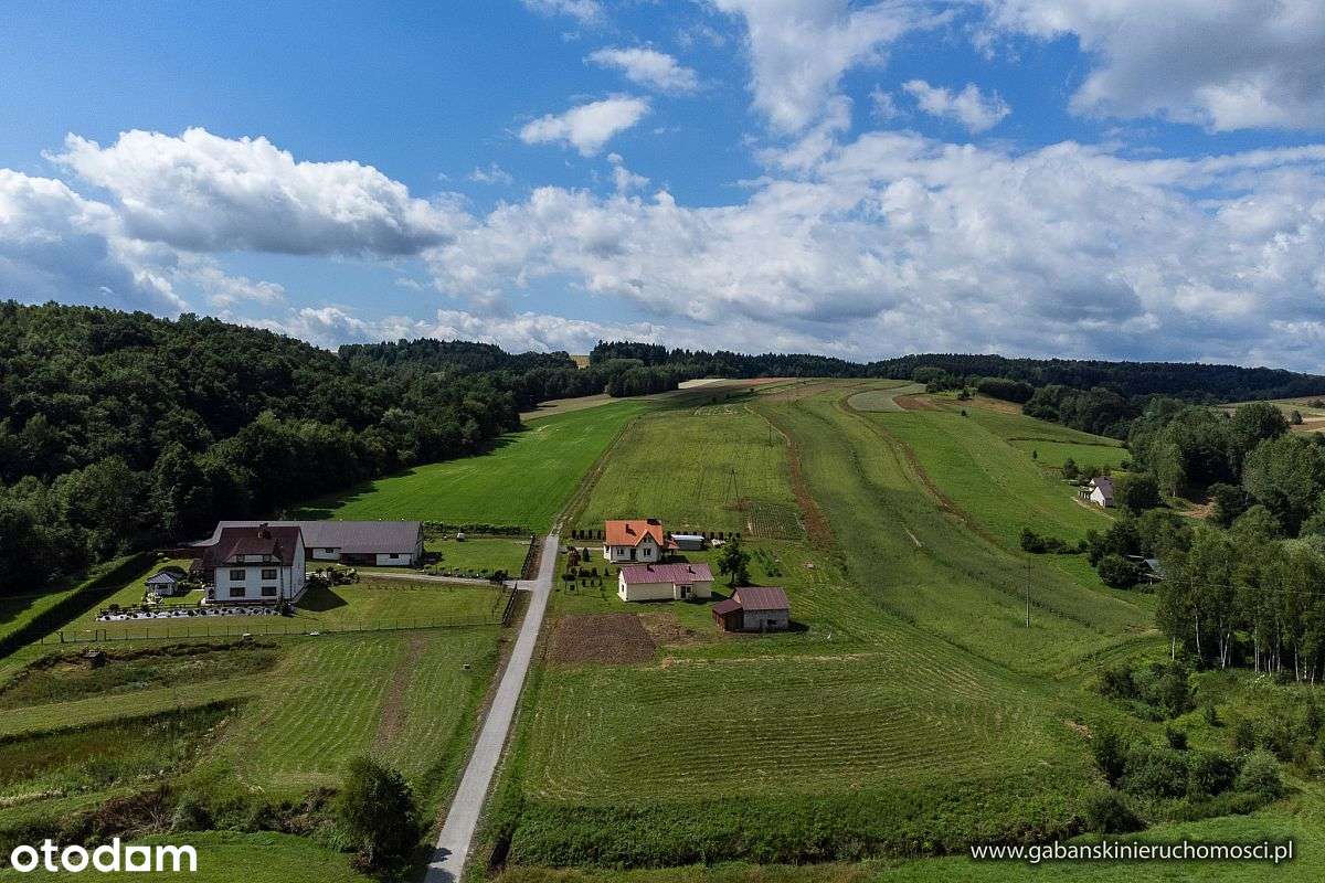 DZIAŁKA BUDOWLANA 27 AR W OLSZYNACH gm. RZEPIENNIK - Pełny obrazek: 4/12