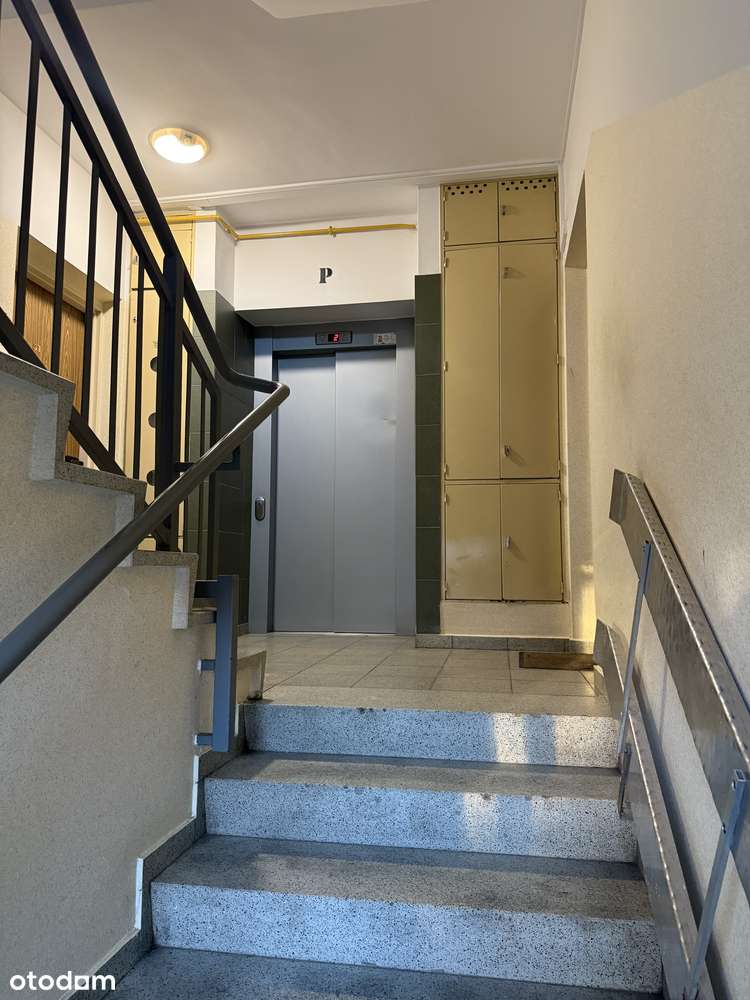 59 m, blisko metra, szkół, lasu kabackiego, atrakcyjna cena, - Pełny obrazek: 4/8