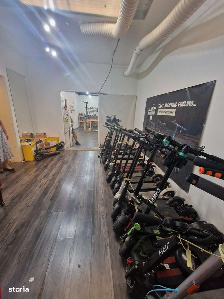 Casă + teren cu anexe – Sector 3, București-19