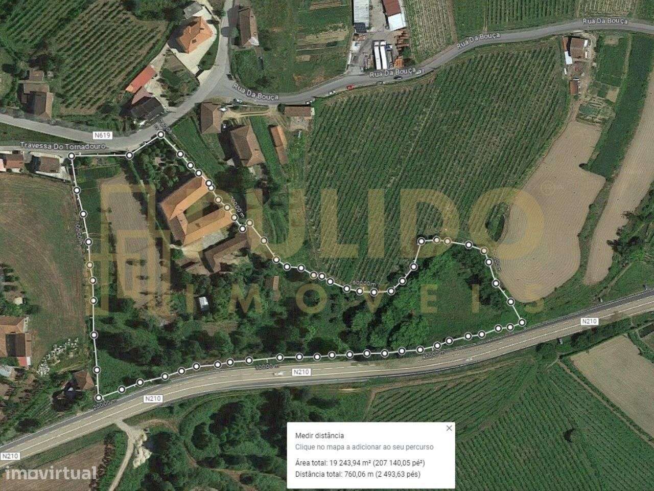 Solar em bom estado de conservação com jardim de japoneiras (camélias) - Grande imagem: 5/15