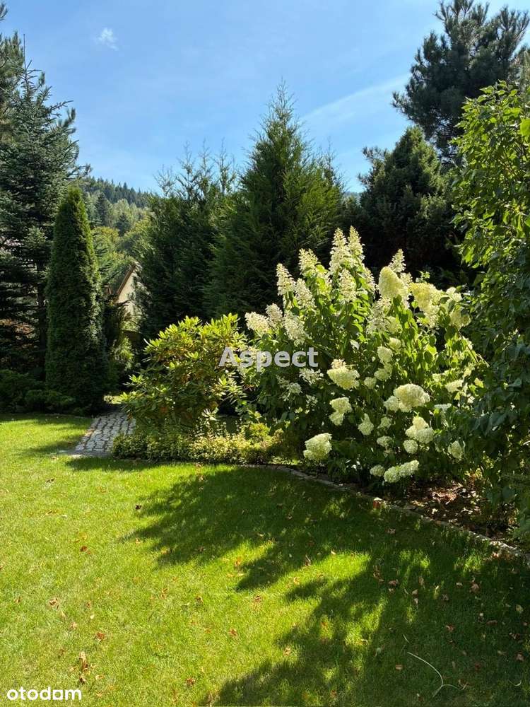 Dom w górach z basenem i dużą działką-10