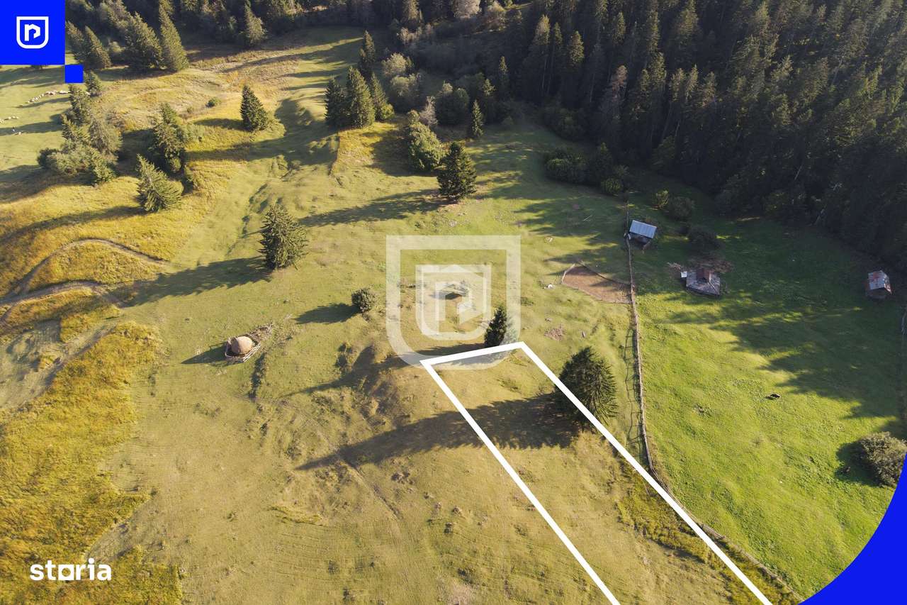 Teren situat in Frasin | BUCOVINA - Imagine principală: 5/7