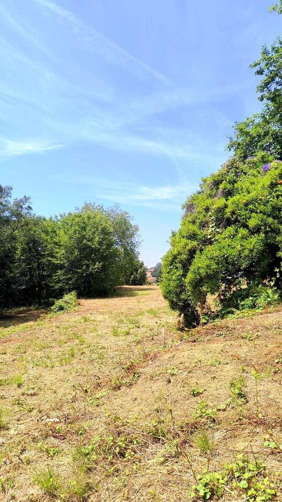 Quinta com 19000 m2 nas margens do Douro-15