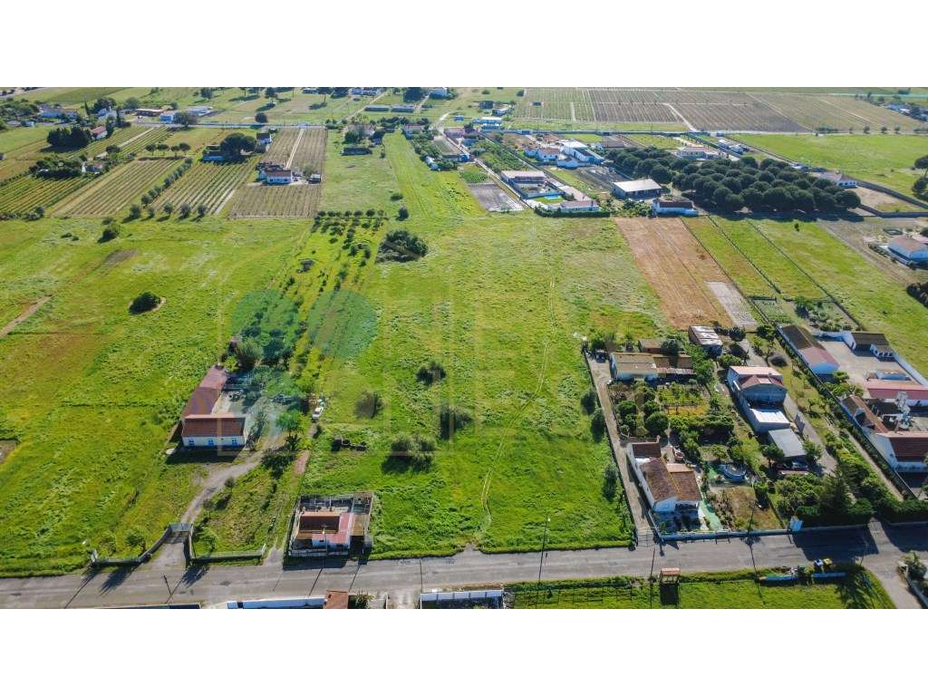 Construa duas casas num terreno único de 12.900m² em Arraiados-5