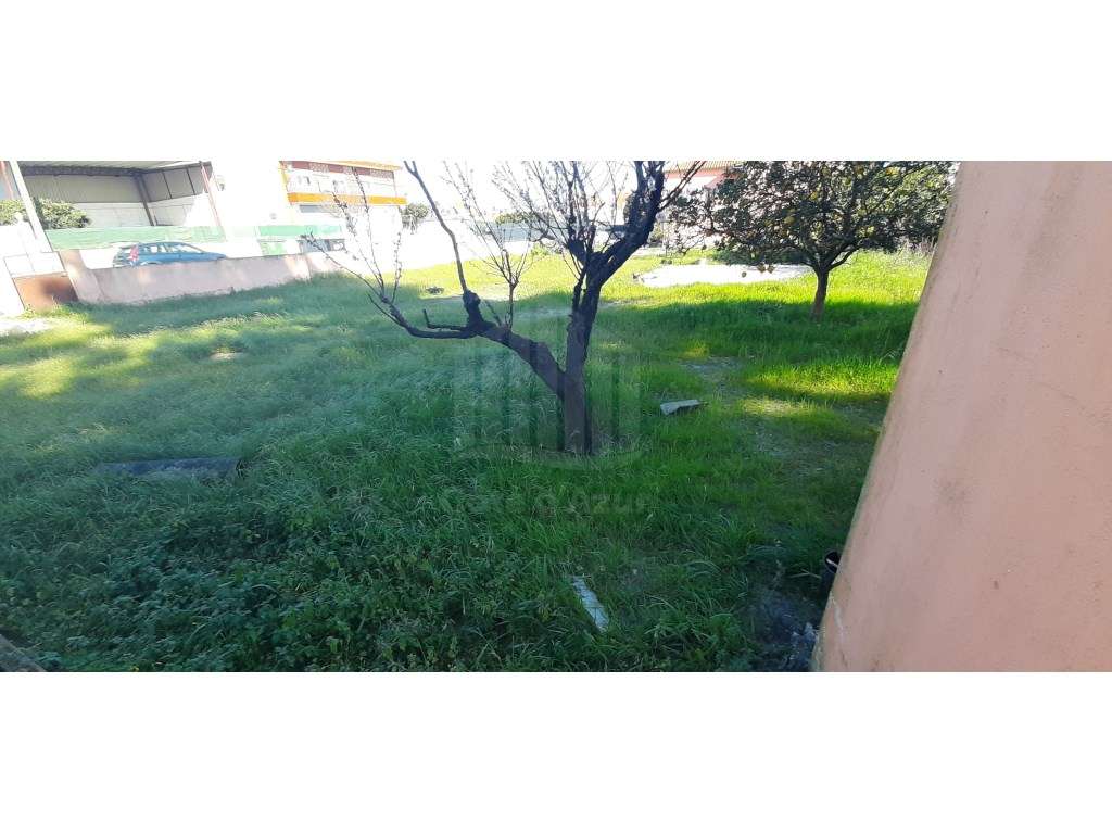 O Lugar Ideal para a Sua Futura Moradia no Pinhal do General-16