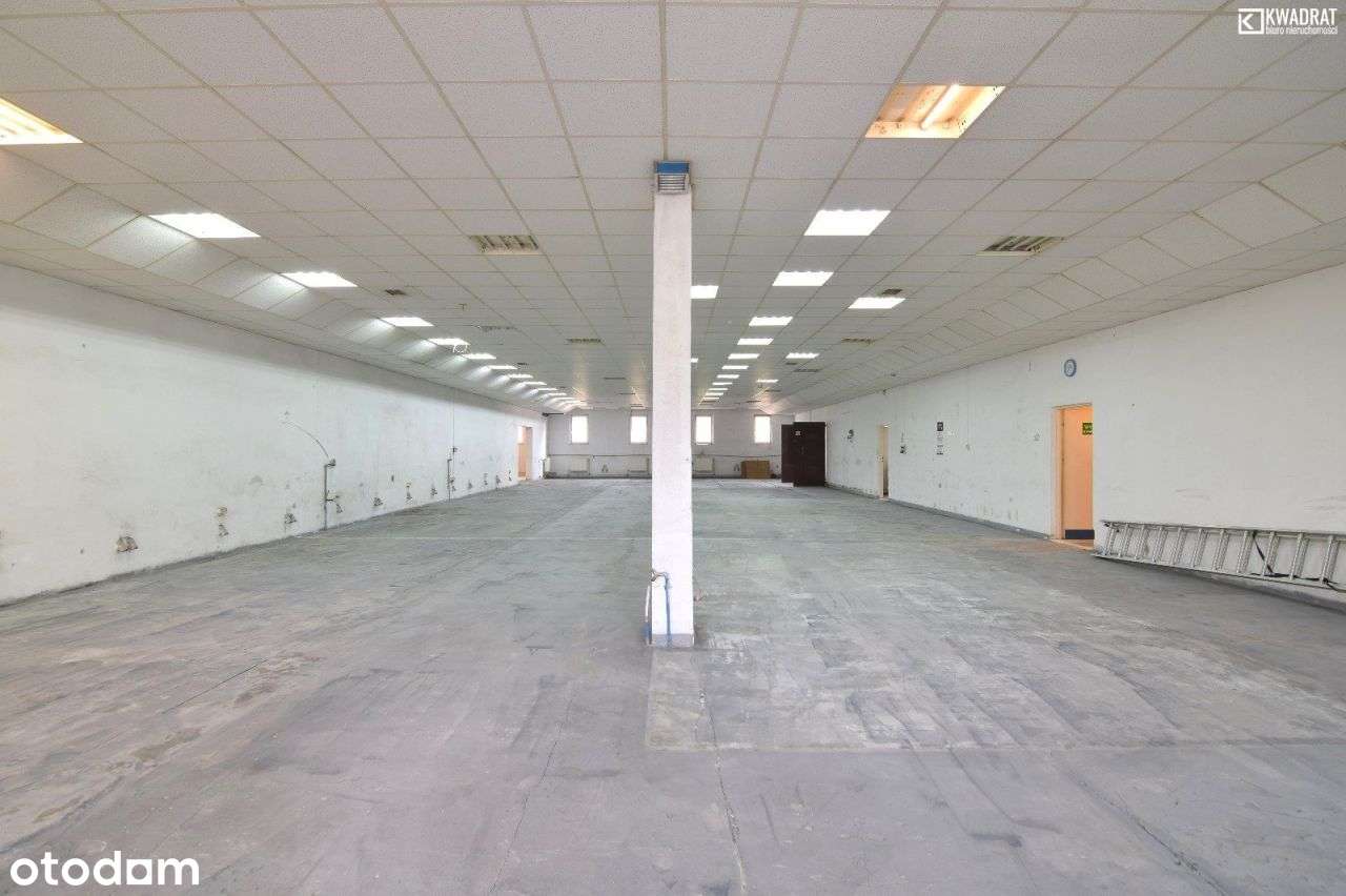 Hala Produkcyjno- Magazynowa Chełm. - Pełny obrazek: 4/8