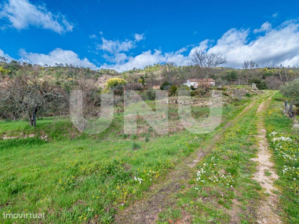 Quinta T2 com Habitação, Infraestruturas Agrícolas e Terreno com Vi...-43