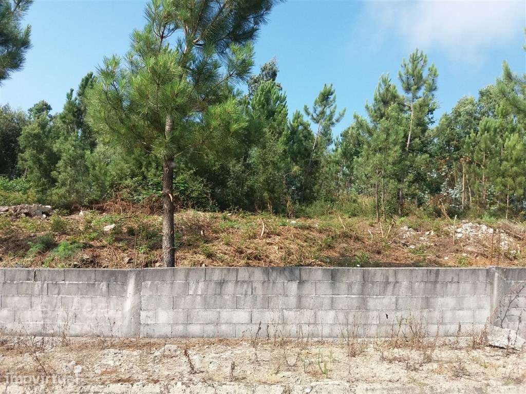 Terreno de construção em Milhazes - Barcelos-6