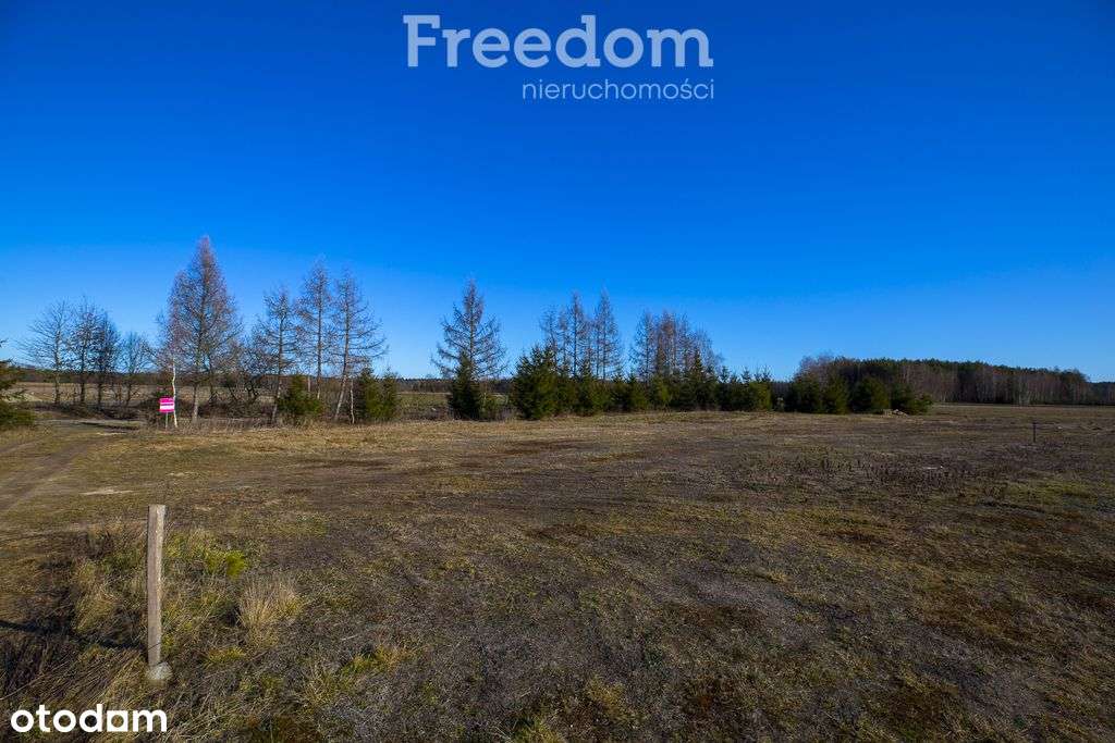 Działka 9a | Wz | dostęp do Lubaczówki - Pełny obrazek: 5/17