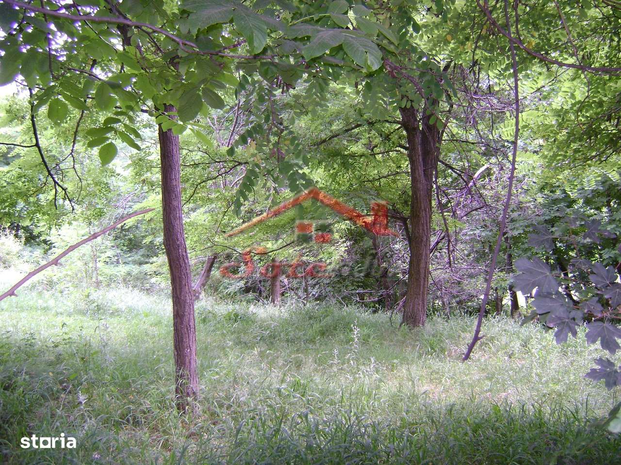 Teren de vanzare Cornu 3074 mp-4