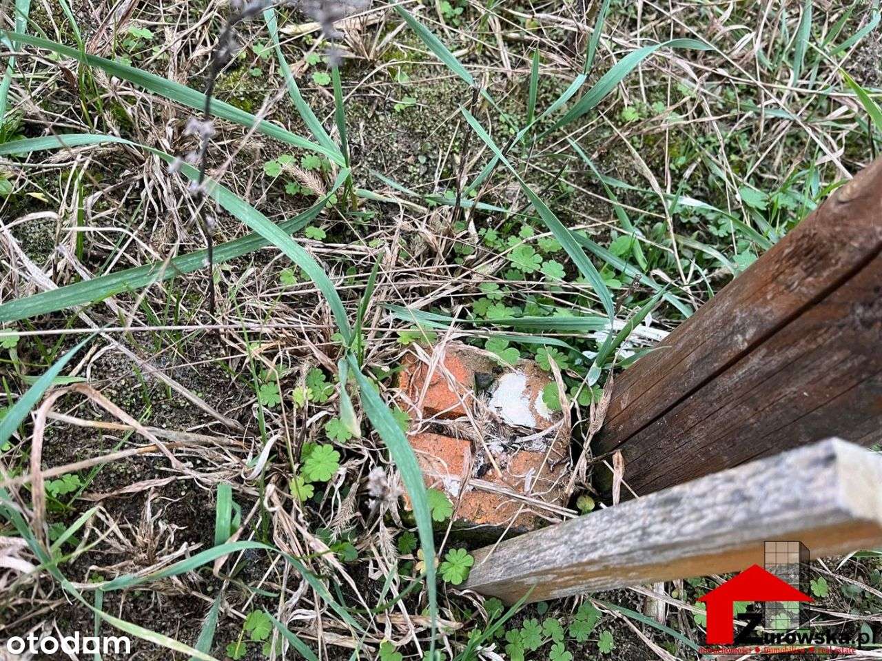 Działka budowlana 1200 m2 + 200 m2 droga - Pełny obrazek: 4/9