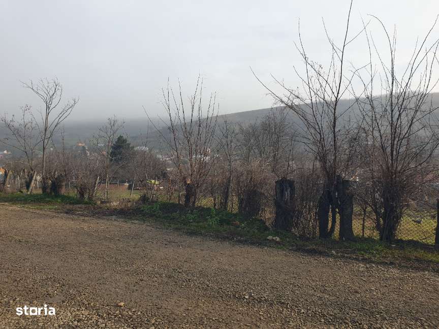 Vulturi ( Vanatori )  – IASI - Teren intravilan ideal constructie casa-11