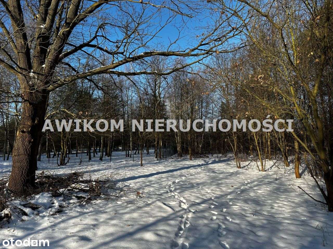 Dom, 72 m², Radziejowice-8