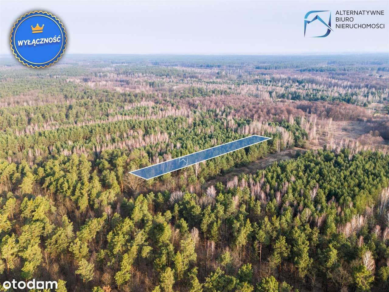 Atrakcyjna działka w Nowym Stawie G. Niemce - Pełny obrazek: 5/14