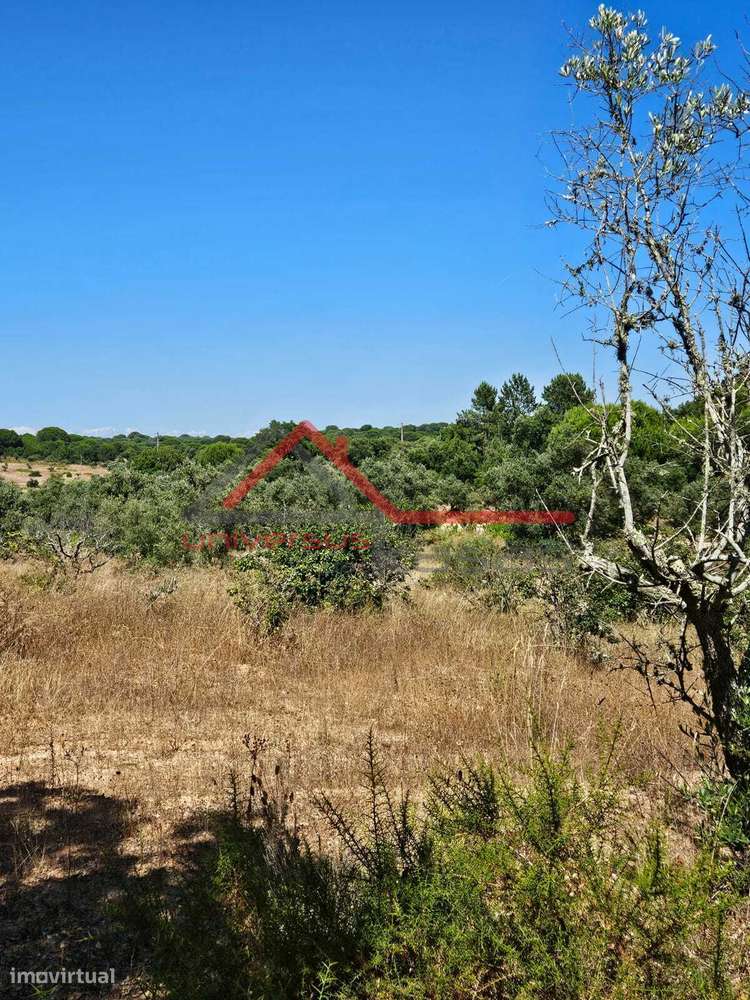 reno rustica   Cabeção - Mora - Grande imagem: 5/5