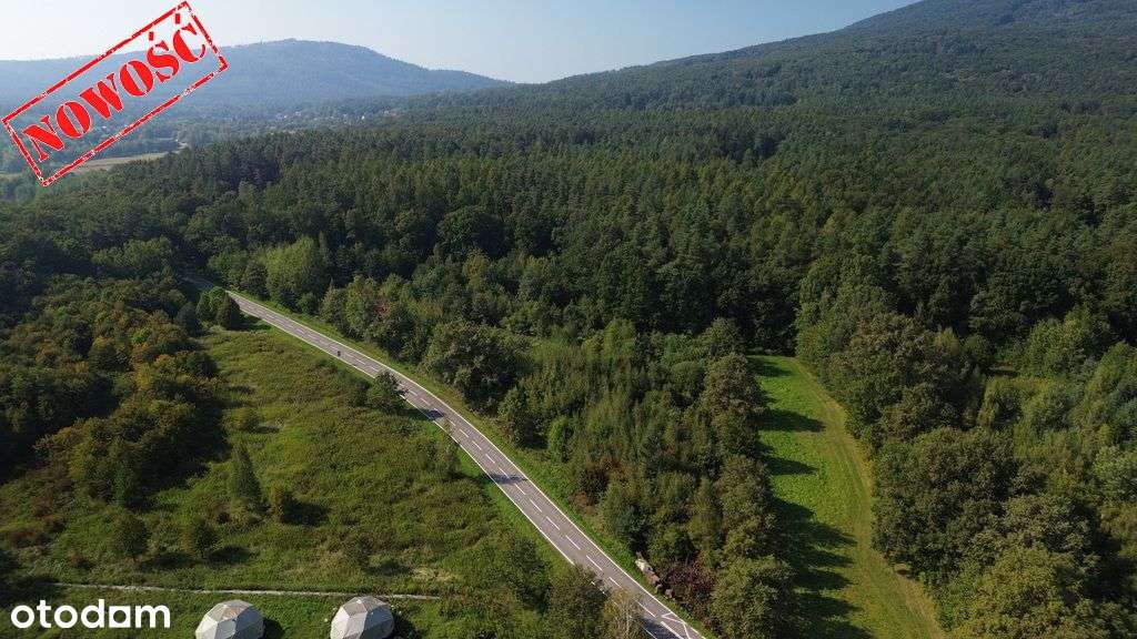 Działka rolno-leśna pod lesem Będkowice-4