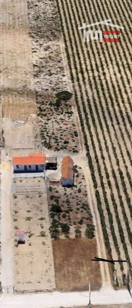 Quinta com 5.000m² e Vista para o Castelo em Palmela  Projeto de Mo... - Grande imagem: 4/4