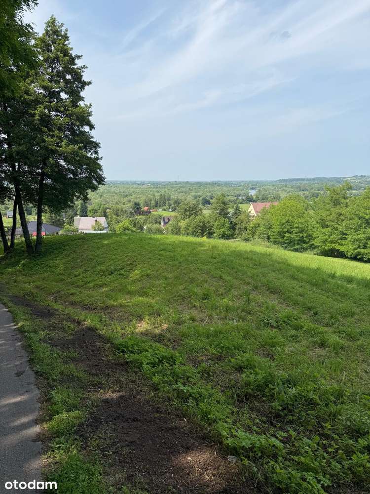 Działka - Dąbrówka Szczepanowska 3100m-5