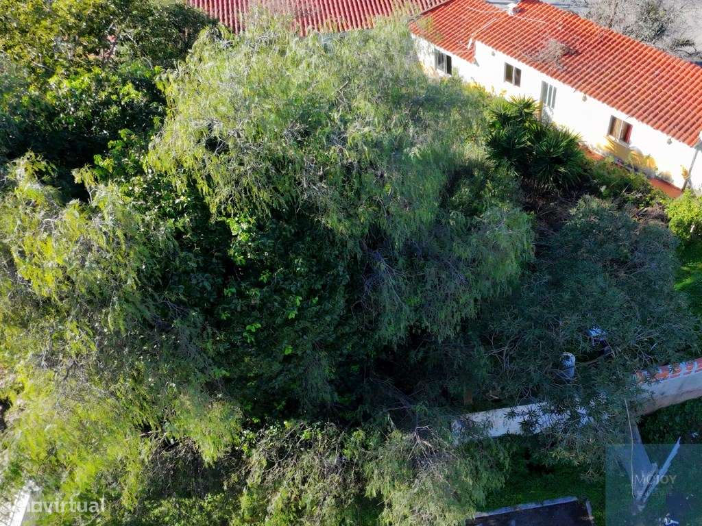 Terreno Exclusivo na Bemposta em Portimão - Grande imagem: 4/13