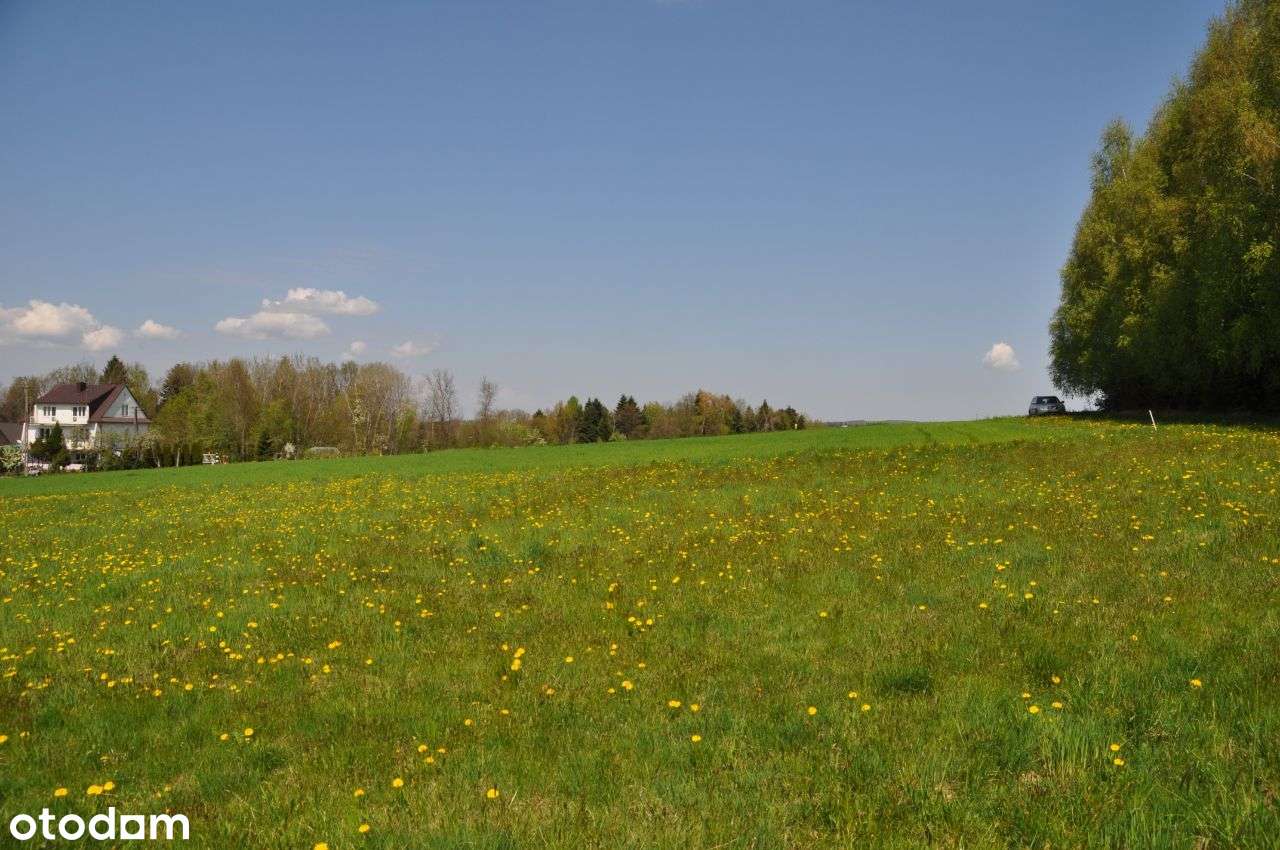 Grabie (gm. Łapanów) - budowlano-rolna - Pełny obrazek: 4/5