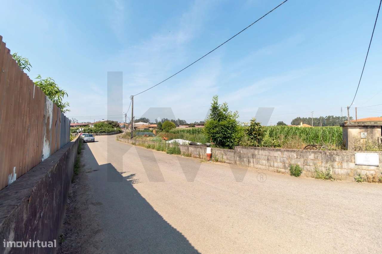 Terreno com Elevado Potencial para Investimento – Avanca, Estarreja-20