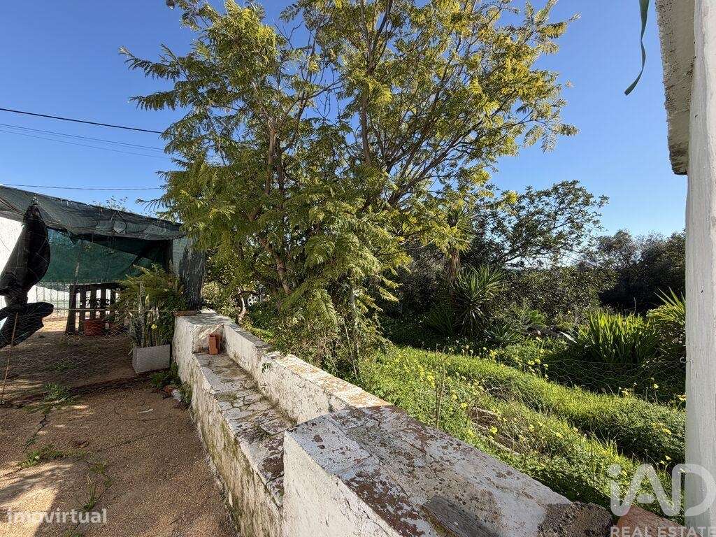 Quinta T3 em Moncarapacho e Fuseta de 140,00 m2 - Grande imagem: 4/21