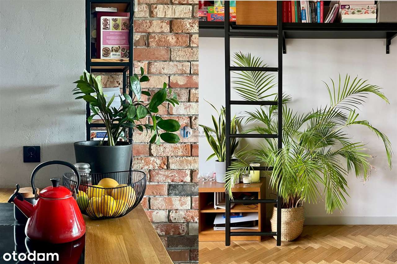 nowoczesne mieszkanie 3 metry wysokości, taras 10-2