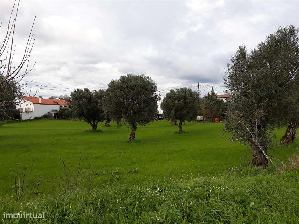 Azenha, Coimbra, São João do Campo - Grande imagem: 3/9