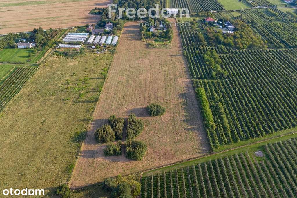 Działka 3300 m2 Marianka - Pełny obrazek: 4/18