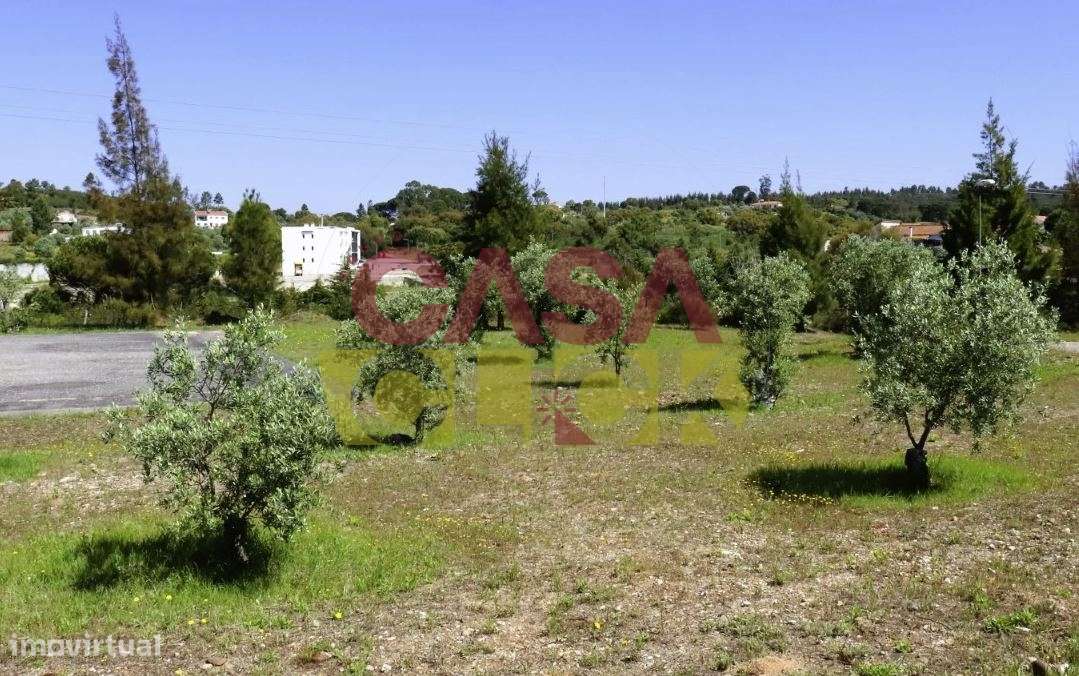 Lote de Terreno T4 Venda em Constância,Constância-19