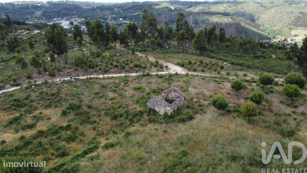 Terreno para construção em Seixo da Beira de 48000,00 m2 - Grande imagem: 2/26