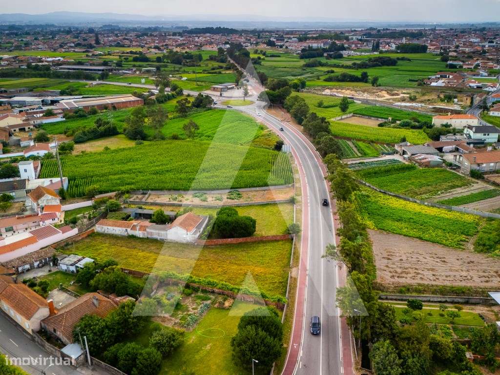 Terreno construção moradia - Murtosa - Ria de Aveiro-6