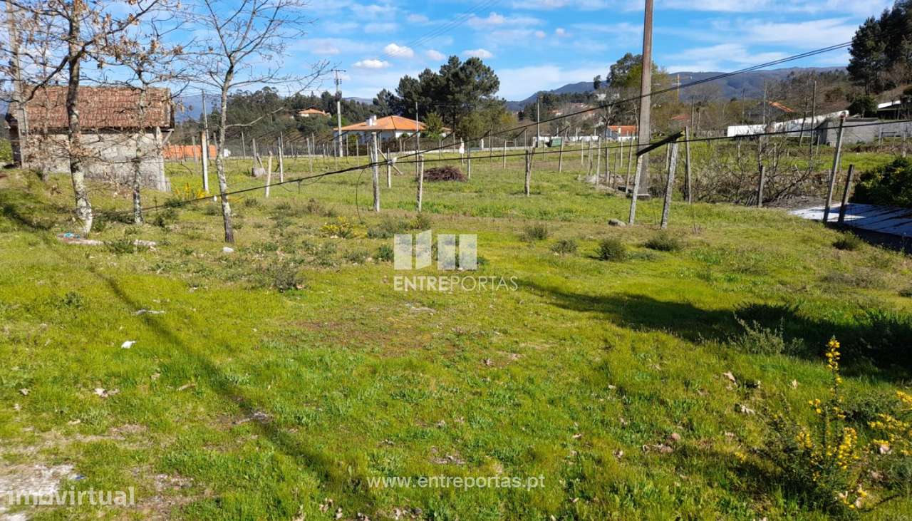Venda Terreno, Salvador do Monte, Amarante - Grande imagem: 4/41