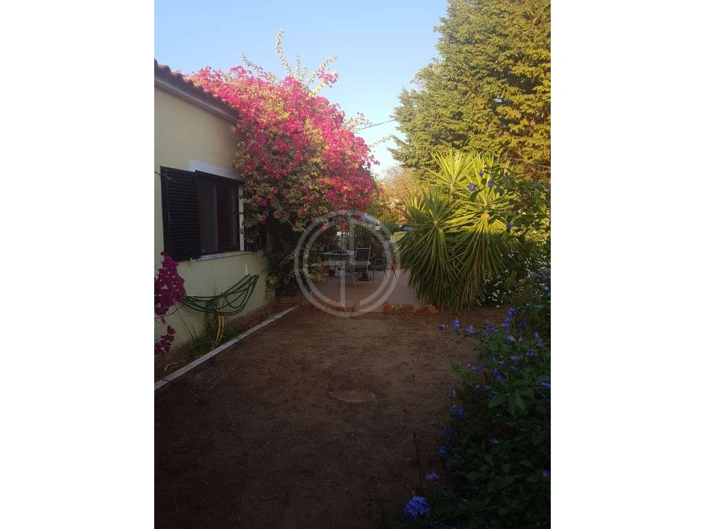 Oportunidade de Investimento | Moradia T3 com Piscina em Almancil-13