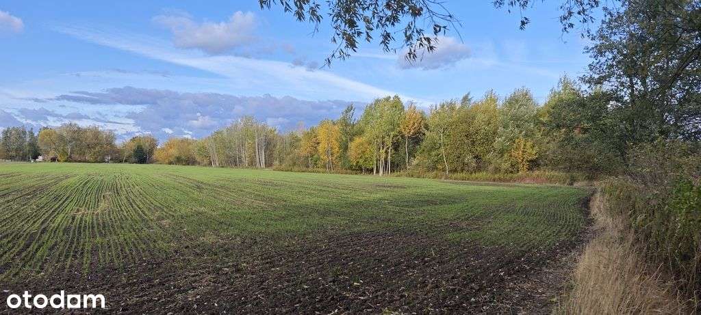 Borzęcin Mały-urokliwa działka budowlana-9