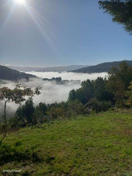terreno em caçarilhe Infesta - Grande imagem: 5/5