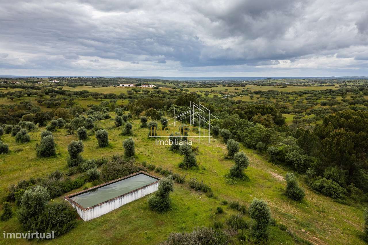 MONTINHO DO CHIADO - MALARRANHA - PAVIA-57