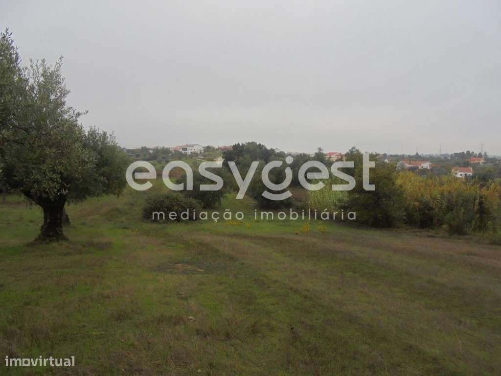 Terreno Rústico em Tomar - Grande imagem: 5/7