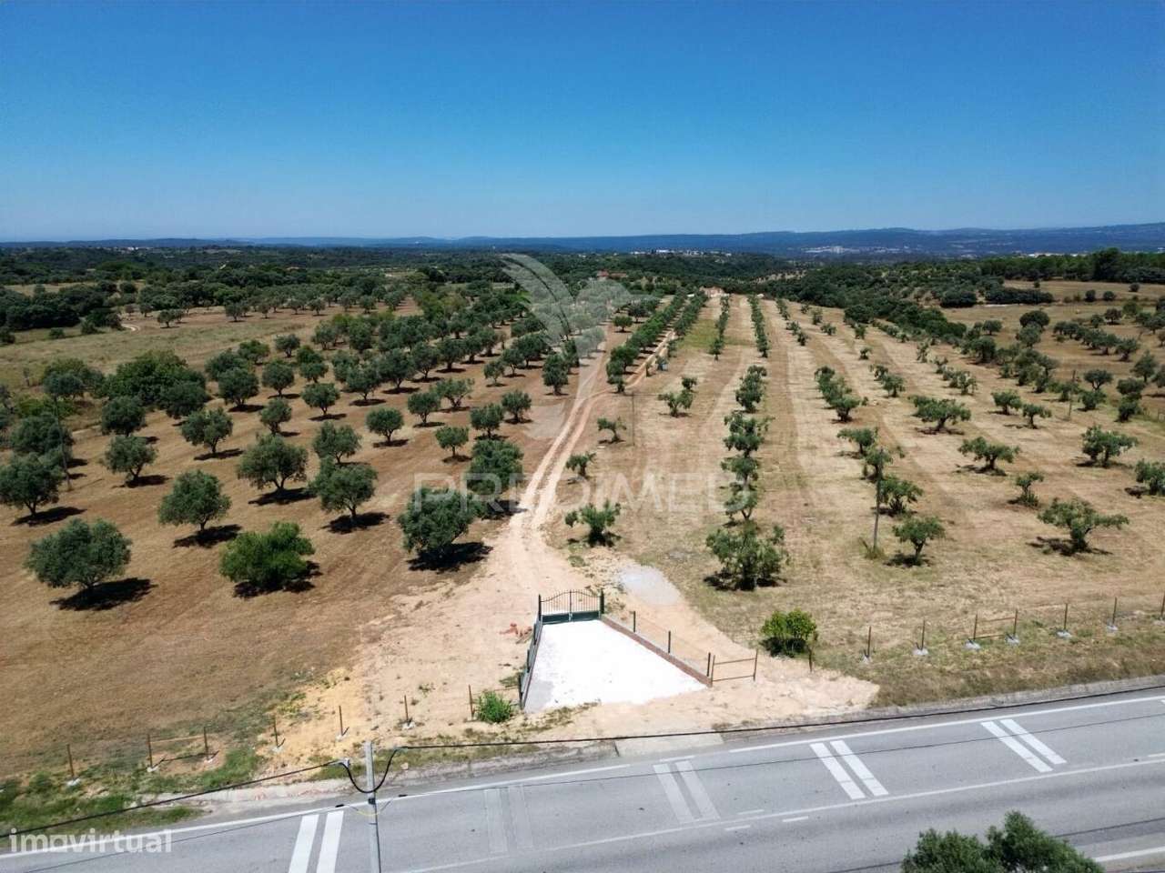 Quinta rural com olival, com uma área de 42,480m2 Vaqueiros, Santarém - Grande imagem: 2/34