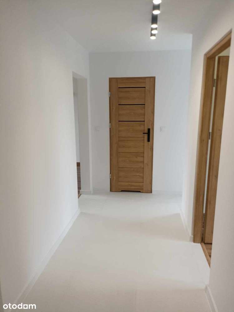 trzy pokoje, balkon, po generalnym remoncie, Franc-12