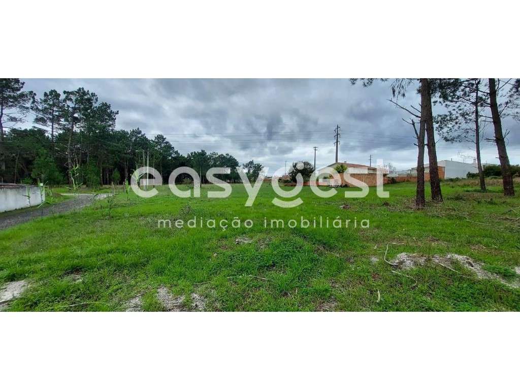 Terreno plano e soalheiro com 1712m2 no Pilado- Marinha Grande - Grande imagem: 2/15