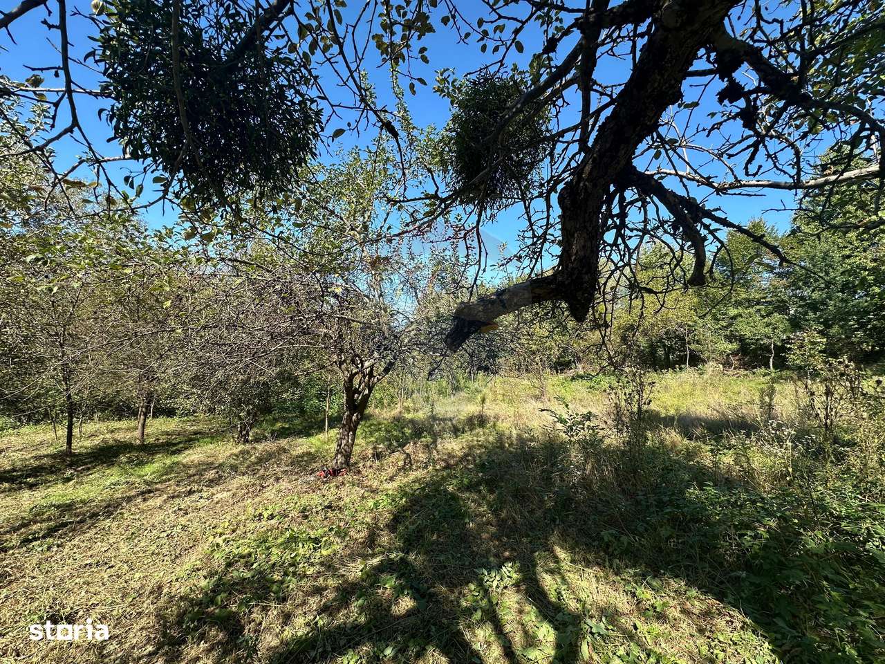 TEREN cu priveliste si liniste - Coruia - Imagine principală: 5/9