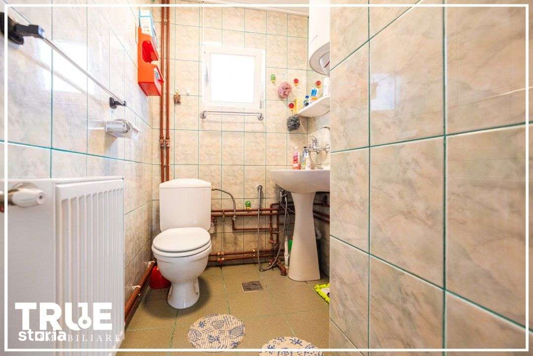 Cabană de vânzare, 150m², teren 4015m², Lunca Bradului!-6