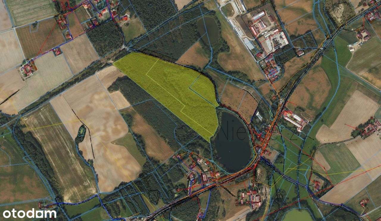 12 ha lasu z linią brzegową jeziora-5