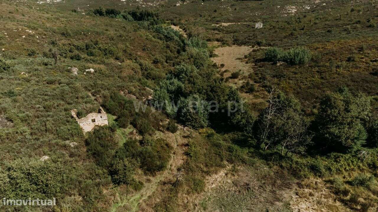 Quinta / Seia, Paranhos - Grande imagem: 5/8