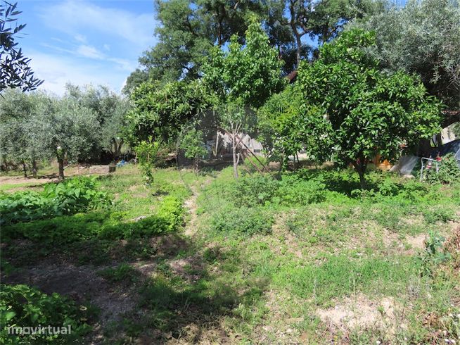 Quinta  para venda-9