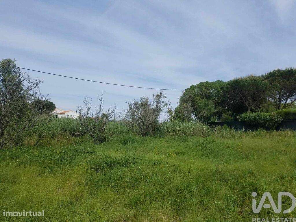 Terreno em Carvalhal de 5880,00 m2 - Grande imagem: 3/9